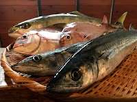 居酒屋 百年の杜