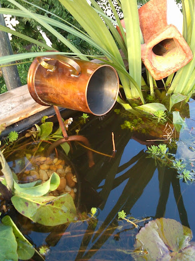 Pet Store «Fancy Tails Fish Farm», reviews and photos, 2324 US Hwy 27 S, Sebring, FL 33872, USA