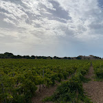 Photo n°2 de l'avis de Amrei. fait le 19/10/2021 à 05:17 sur le  Baglio Oneto à Marsala