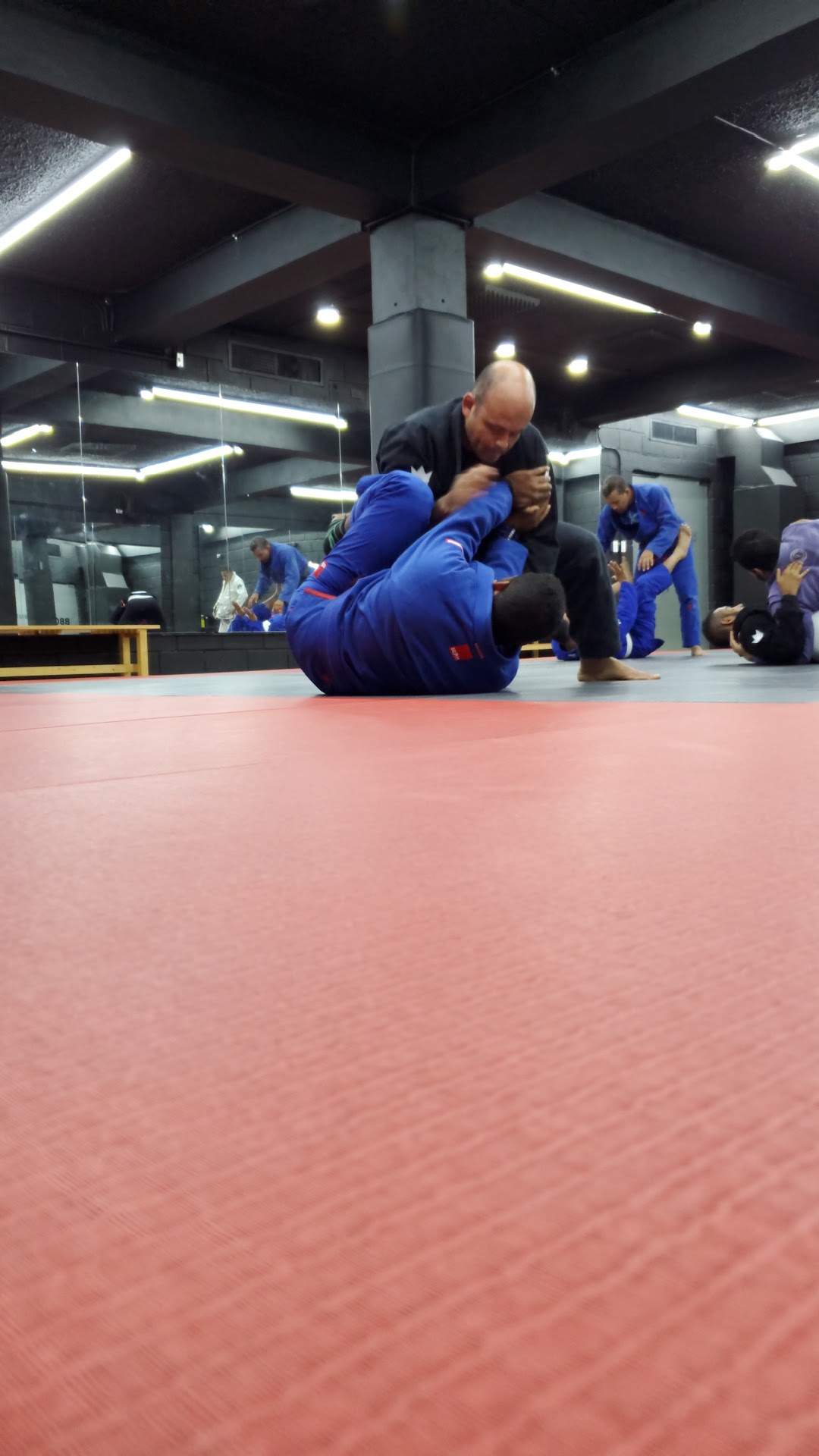 Colectivo Jiu Jitsu