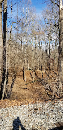 Hiking Area «Patapsco State Park Hiking Trail Entrance», reviews and photos, Baltimore National Pike, Ellicott City, MD 21043, USA