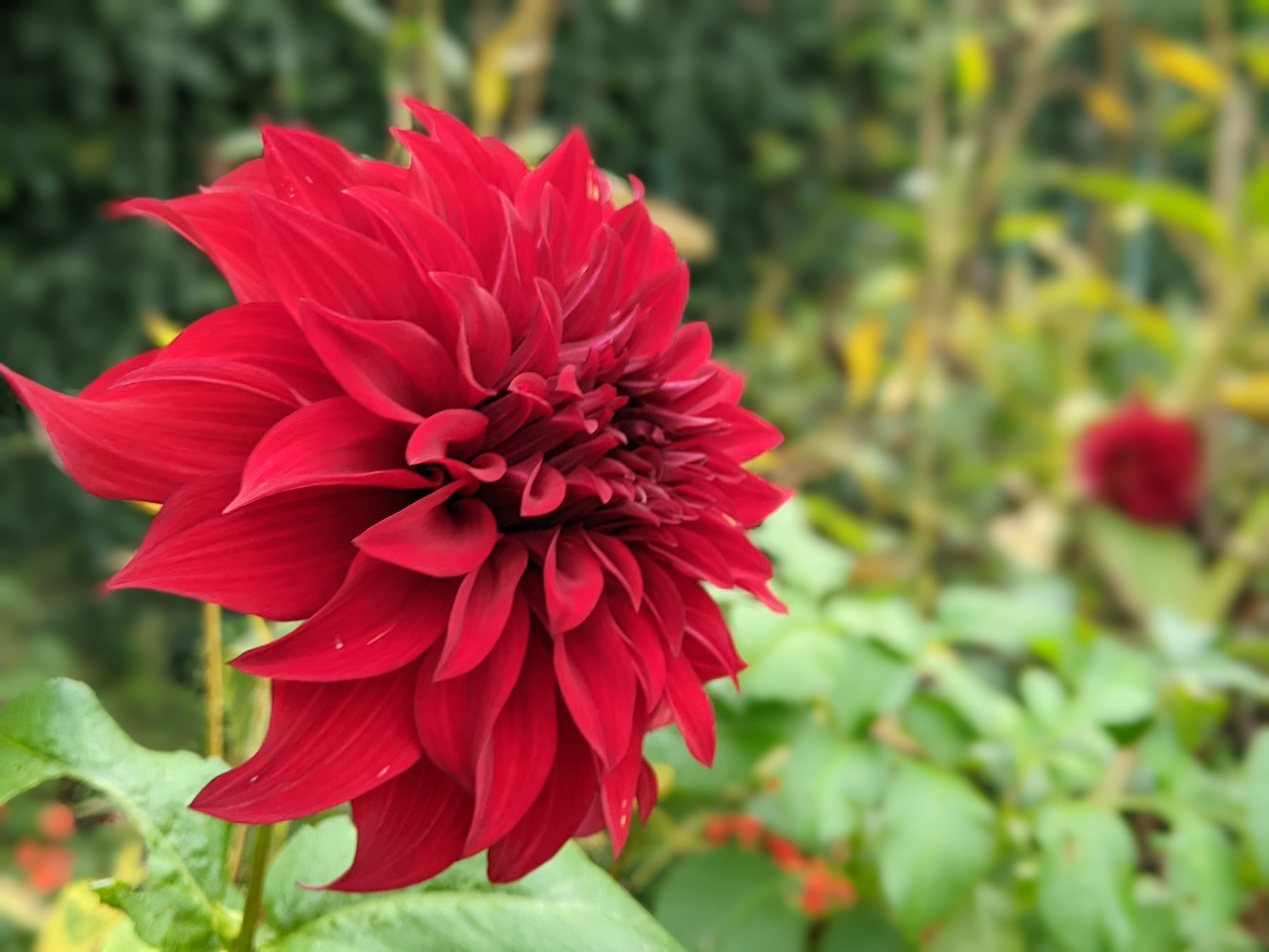 Photo n° 16 de l'avis de konrad.a fait le 08/11/2022 à 15:06