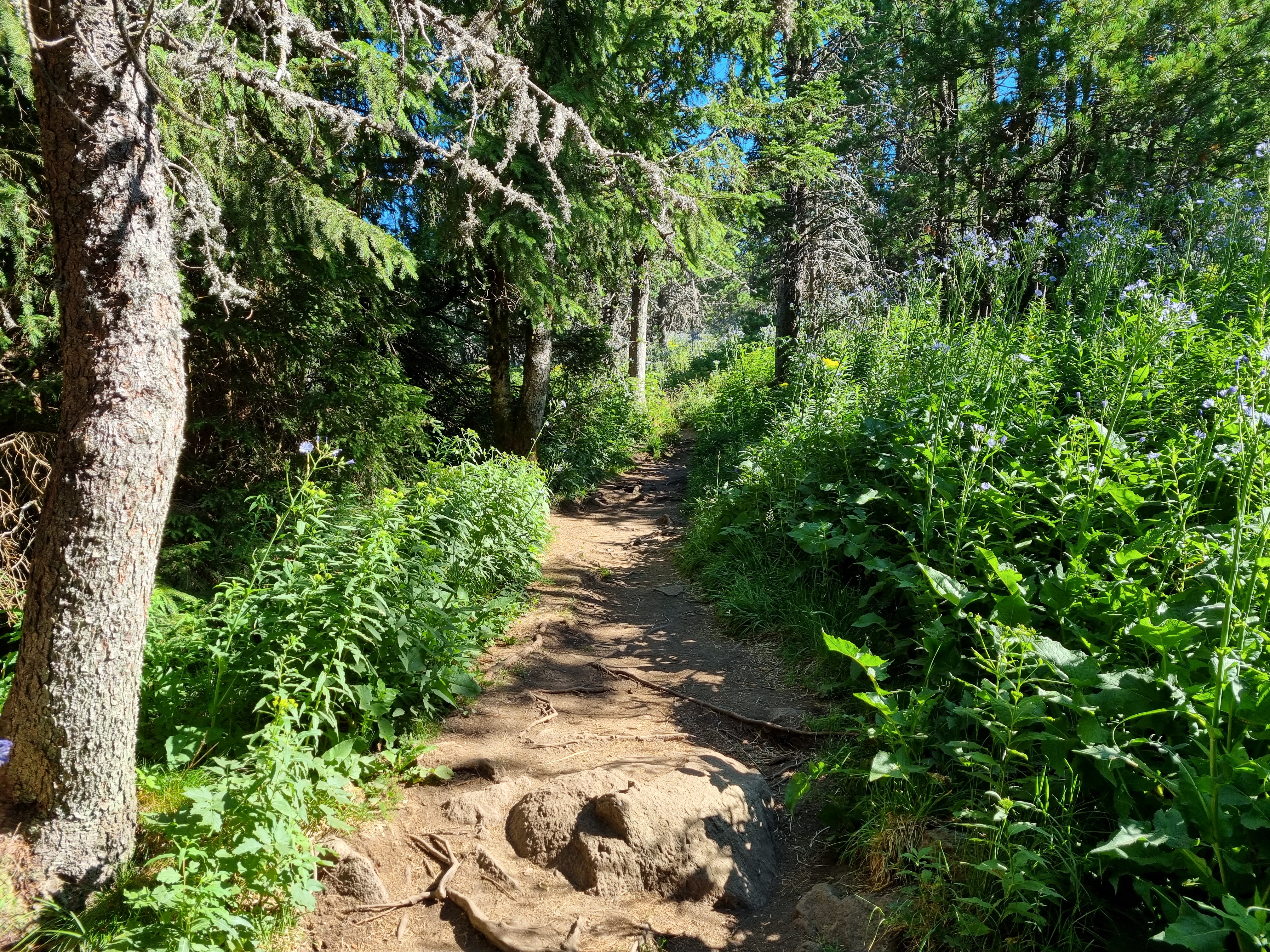 Photo n° 17 de l'avis de LD.R fait le 17/07/2022 à 16:33