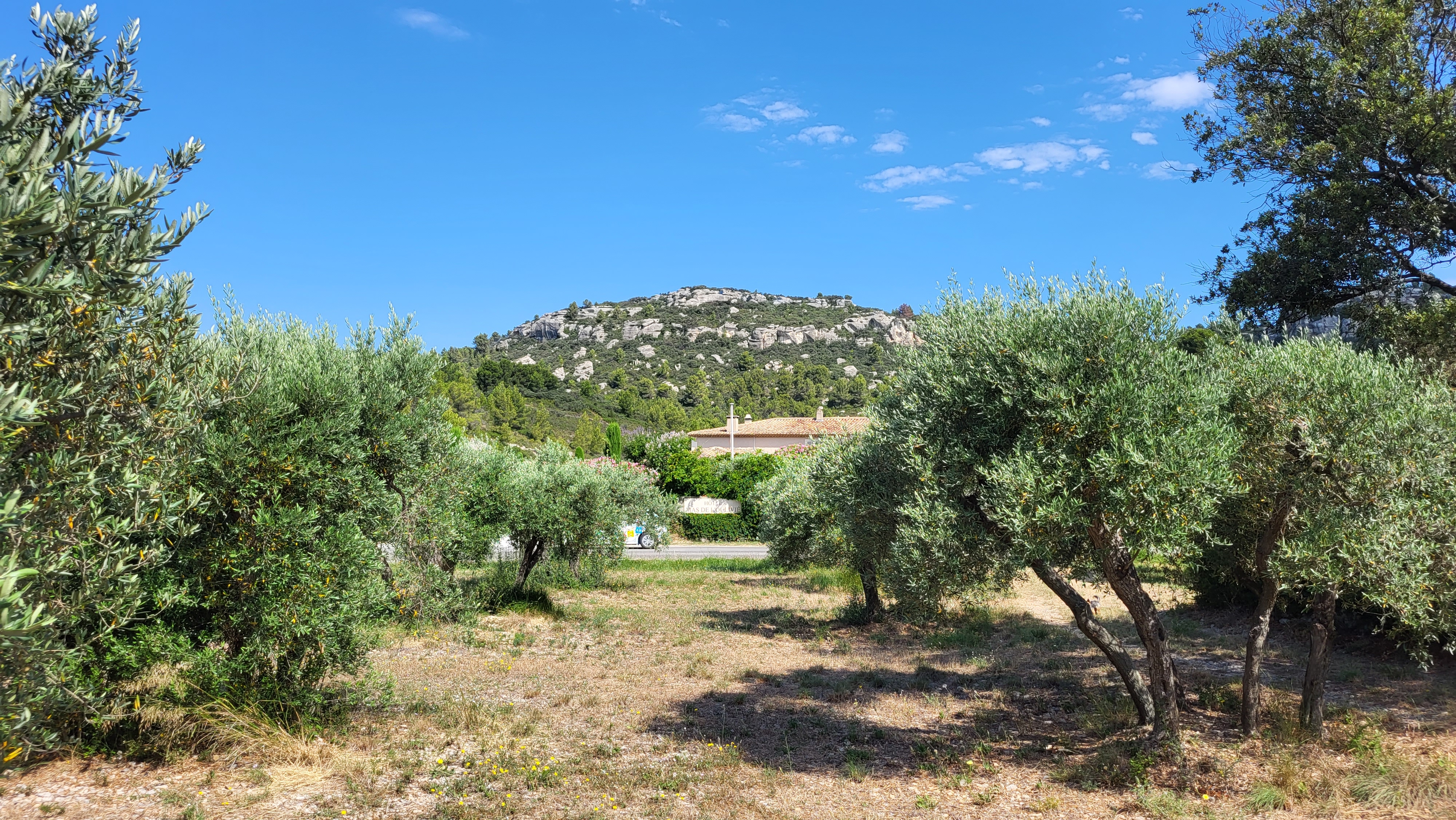 Photo n° 3 de l'avis de Irina.i fait le 16/07/2023 à 16:01