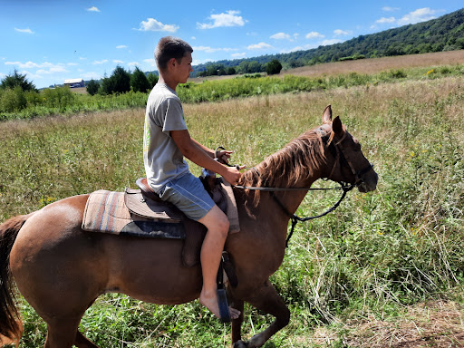 Horseback Riding Service «Secret Passage Ranch», reviews and photos, 321 Spring Mountain Way, Fort Valley, VA 22652, USA