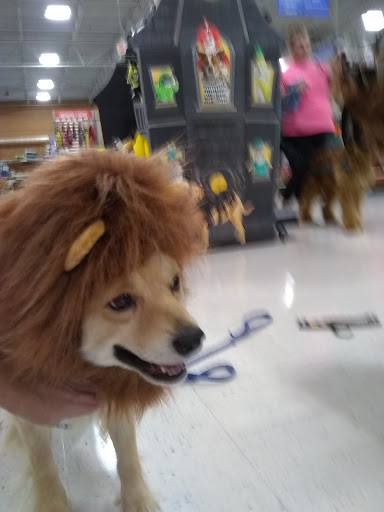 Pet Supply Store «PetSmart», reviews and photos, 8105 Moores Ln Ste 1300, Brentwood, TN 37027, USA