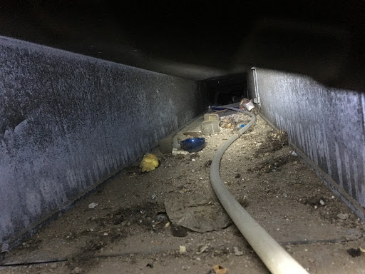 Air duct cleaning service Spider Duct & Carpet Cleaning in Kingston (ON) | LiveWay