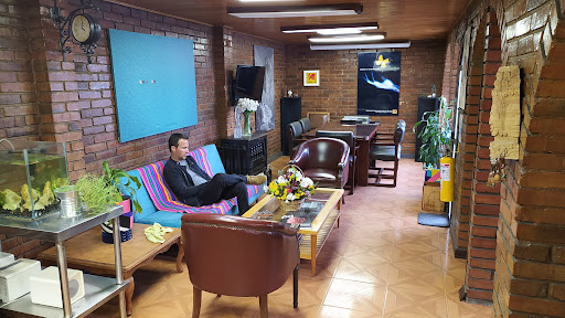 BAJO EL ÁRBOL COWORKING