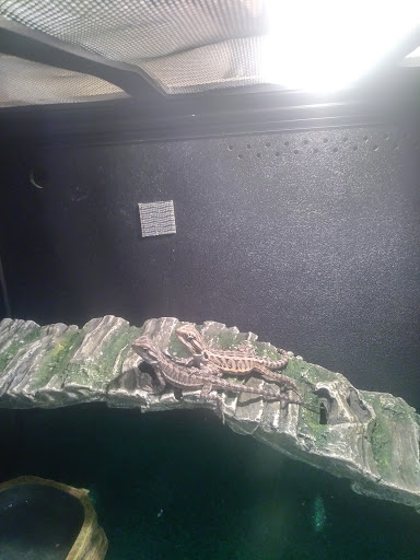 Pet Supply Store «PetSmart», reviews and photos, 3665 Marketplace Blvd, East Point, GA 30344, USA