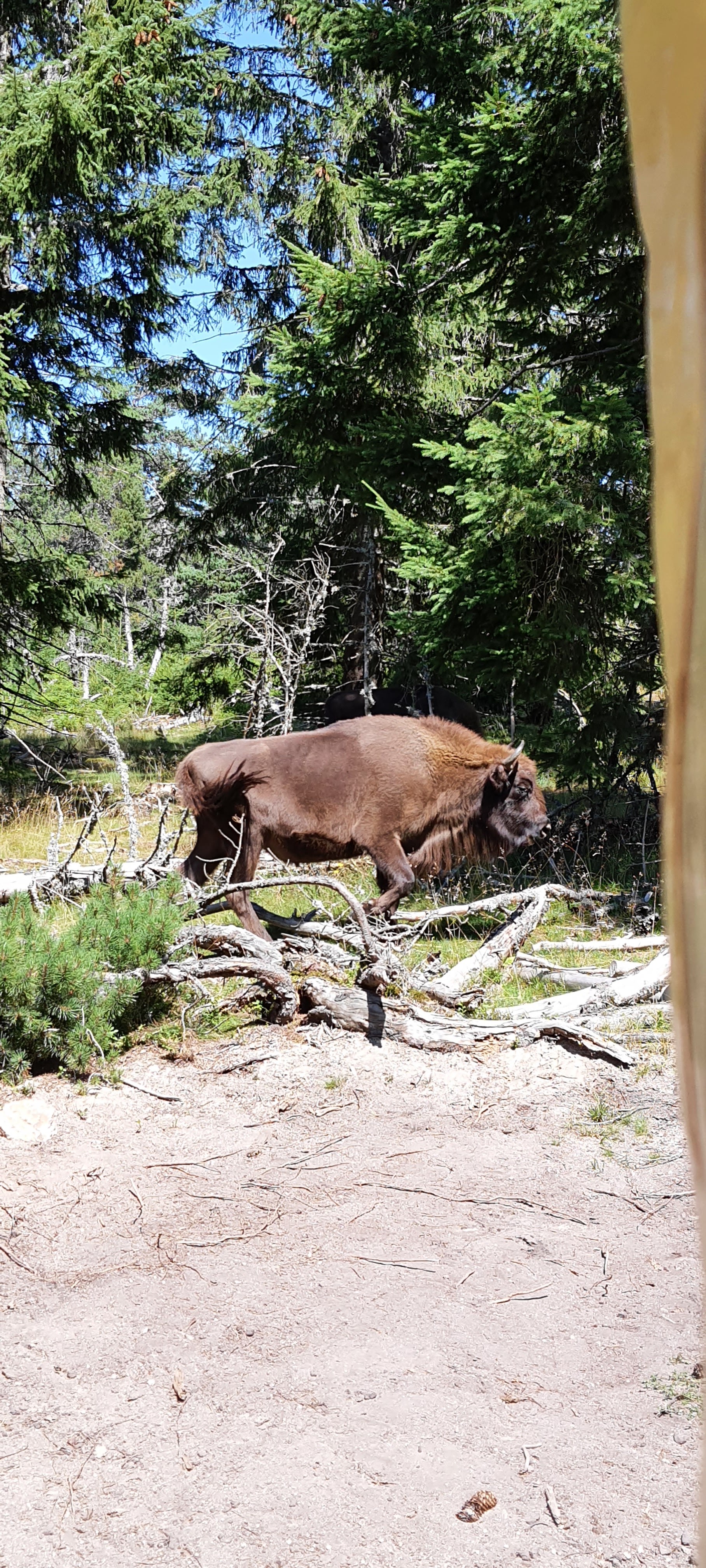 Photo n° 10 de l'avis de Benjamin.o fait le 22/08/2021 à 17:09
