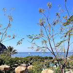 Photo n°4 de l'avis de Marina.o fait le 21/10/2023 à 18:12 sur le  Giardini Poseidon Terme à Forio