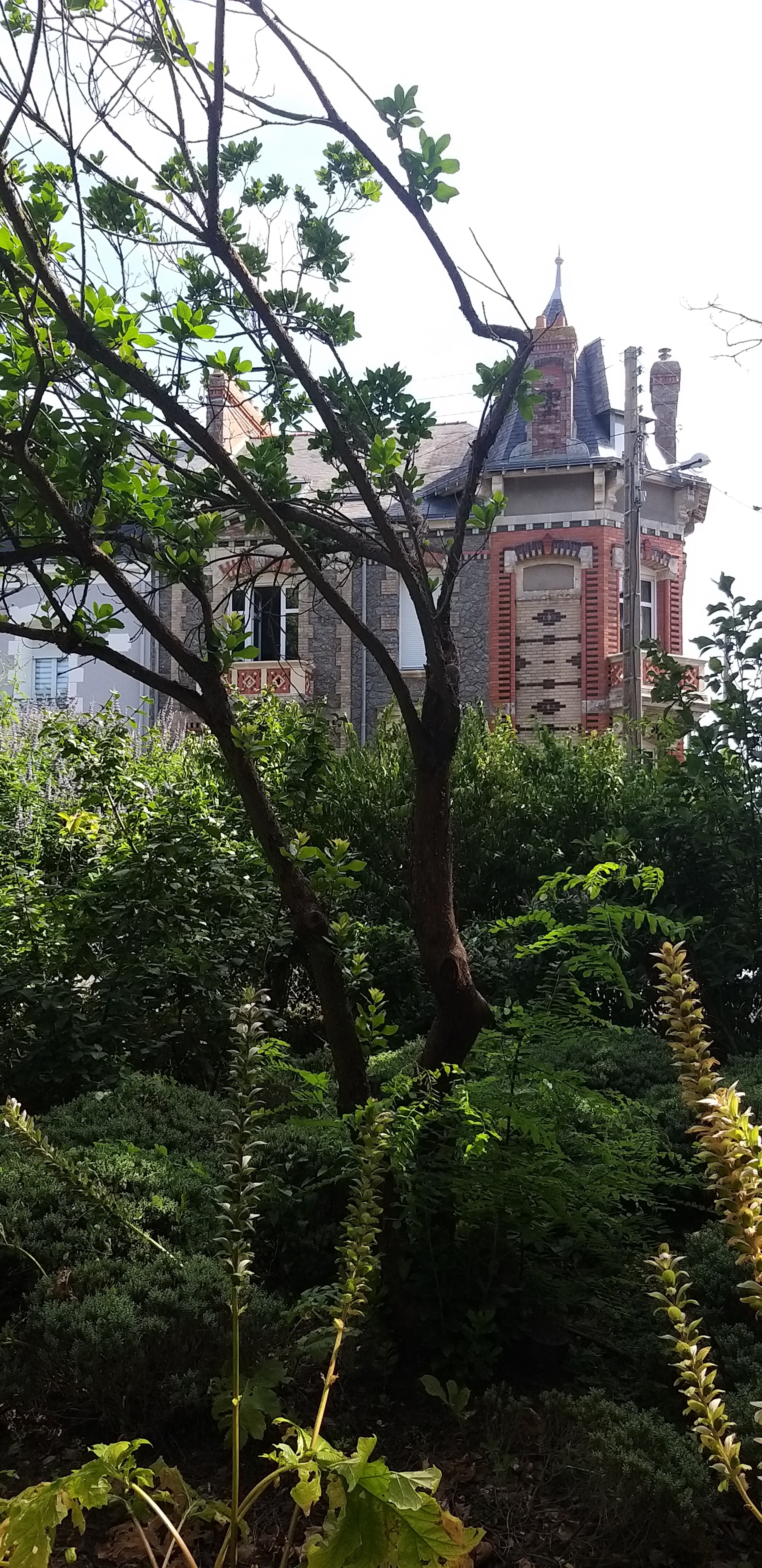 Photo n° 1 de l'avis de Thierry.. fait le 16/07/2022 à 12:05
