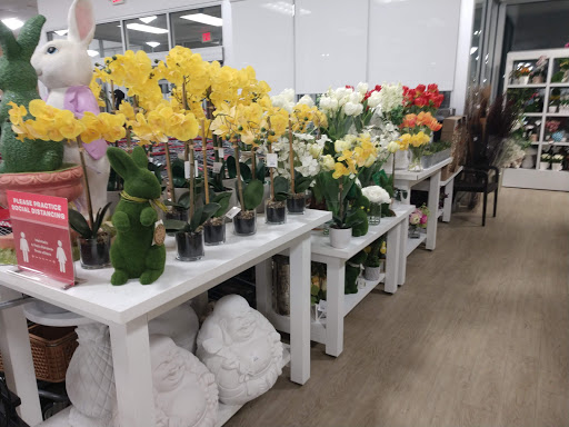 Department Store «HomeGoods», reviews and photos, 1501 Sentinel Dr #300a, Chesapeake, VA 23320, USA