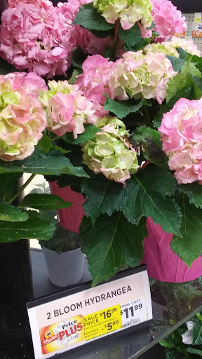 Grocery Store «ShopRite», reviews and photos, 3600 E Landis Ave, Vineland, NJ 08361, USA