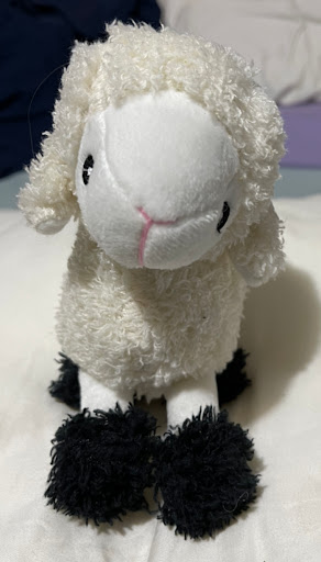 Department Store «Bi-Mart», reviews and photos, 1813 S Molalla Ave, Oregon City, OR 97045, USA