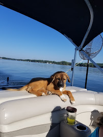 Quality Plus Heating & AC - Photo 3 - Car repair in Lexington, SC, Columbia