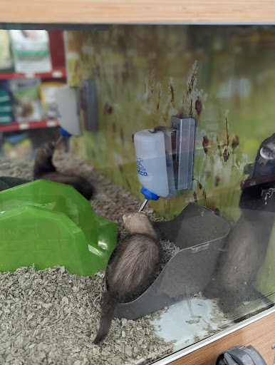 Pet Supply Store «Petco Animal Supplies», reviews and photos, 2000 NE Burnside Rd, Gresham, OR 97030, USA