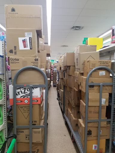 Dollar Store «Dollar Tree», reviews and photos, 131-09 101st Ave, Queens, NY 11419, USA