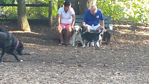 Park «Medway Dog Park», reviews and photos, 298 Village St, Medway, MA 02053, USA
