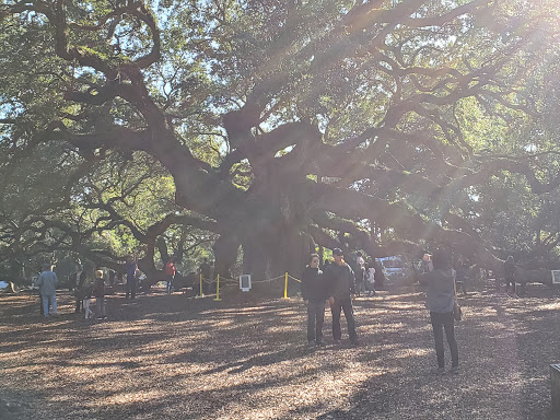 Historical Landmark «Historic Charleston City Market», reviews and photos, 188 Meeting St, Charleston, SC 29401, USA