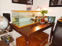 Petco - Photo 2 - Car repair in Victorville, CA, Victorville