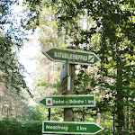 Photo n°3 de l'avis de Sebastian.� fait le 09/07/2023 à 20:07 sur le  Schöne Aussicht à Bad Schmiedeberg