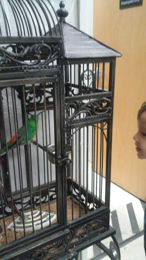 Bird Shop «Arizona Bird Store», reviews and photos, 565 S Dobson Rd, Mesa, AZ 85202, USA