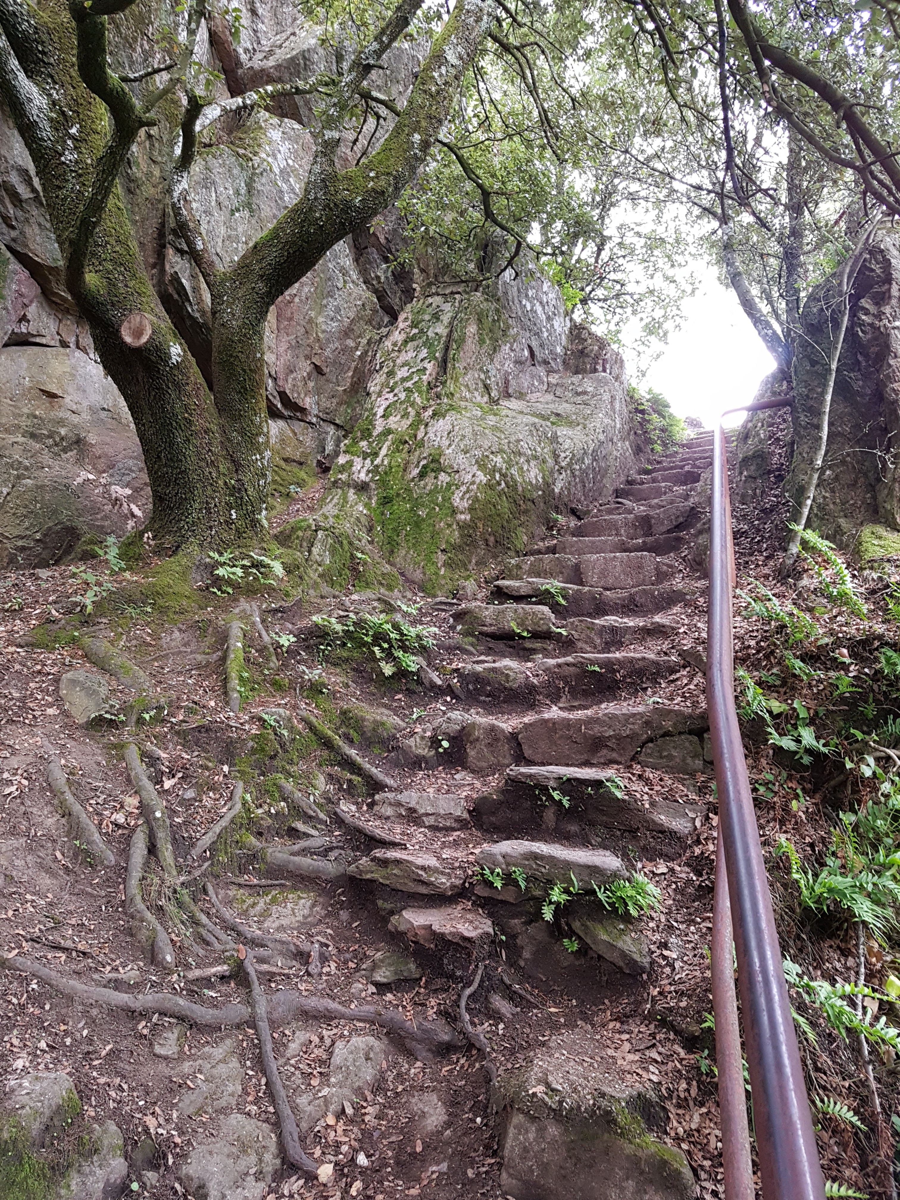 Photo n° 14 de l'avis de Brigitte.U fait le 10/10/2019 à 18:23