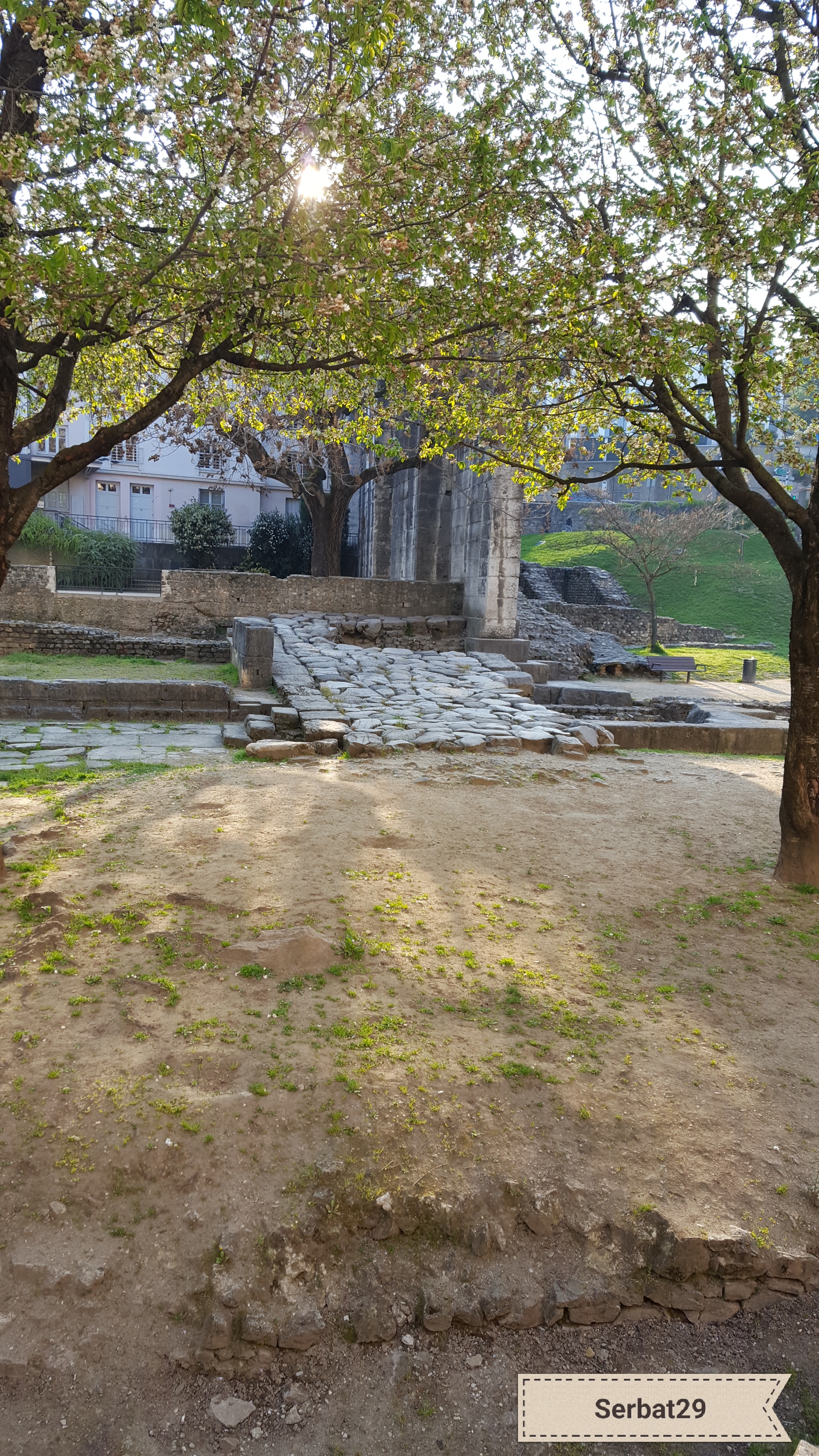 Photo n° 2 de l'avis de Ser.a fait le 24/06/2019 à 12:57