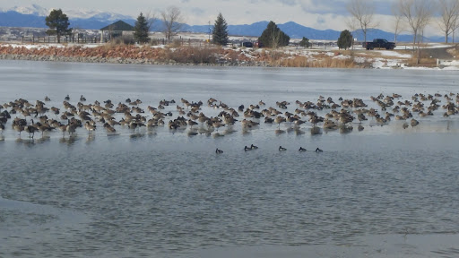 Golf Course «The Pinery Country Club», reviews and photos, 6900 N Pinery Pkwy, Parker, CO 80134, USA