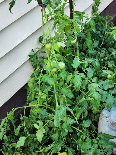 Market «South Main St Fruit Market», reviews and photos, 5012 Main St, Anderson, IN 46013, USA