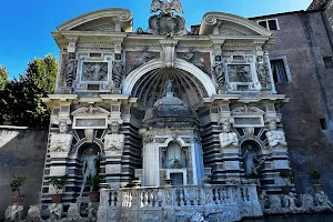 Fontana dell'Organo image