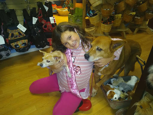 Pet Groomer «Animal House», reviews and photos, 705 Asbury Ave, Ocean City, NJ 08226, USA