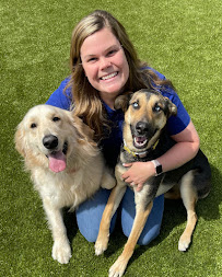 BrownDog Lodge - Memphis - Photo 5 - Car repair in Memphis, TN, Memphis