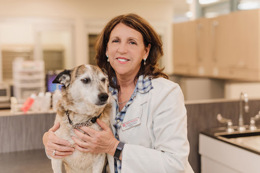 Animal Emergency & Specialty Hospital image