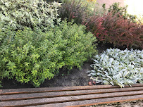 Papír-írószer - Horváthné Lovász Ildikó - Nagyatád