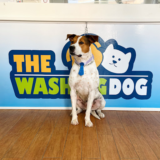 Pensioni per cani e dog hotel a The washing dog - toelettatura per cani e gatti e piccolo petshop