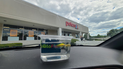 Pet Supply Store «Petco Animal Supplies», reviews and photos, 169 Federal Rd, Brookfield, CT 06804, USA