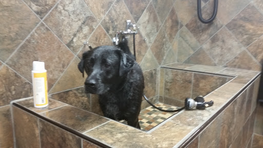 Pet Store «Pet Valu», reviews and photos, 1220 Hamburg Turnpike, Wayne, NJ 07470, USA