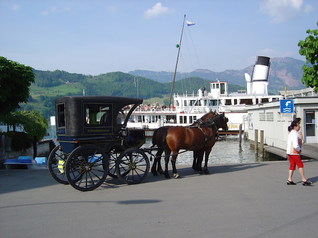 H&E Kutschenfahrten - Luzern