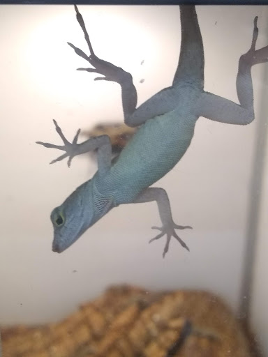 Pet Supply Store «Pet Supplies Plus», reviews and photos, 5555 Youngstown Warren Rd, Niles, OH 44446, USA