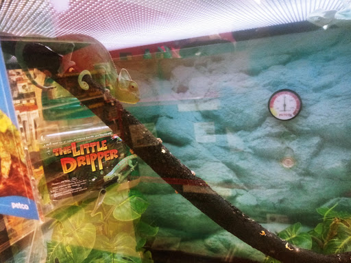 Pet Supply Store «Petco Animal Supplies», reviews and photos, 200 Edwards Blvd b, Lake Geneva, WI 53147, USA