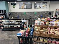 Choice Pet - Southbury - Photo 1 - Car repair in Southbury, CT, Waterbury