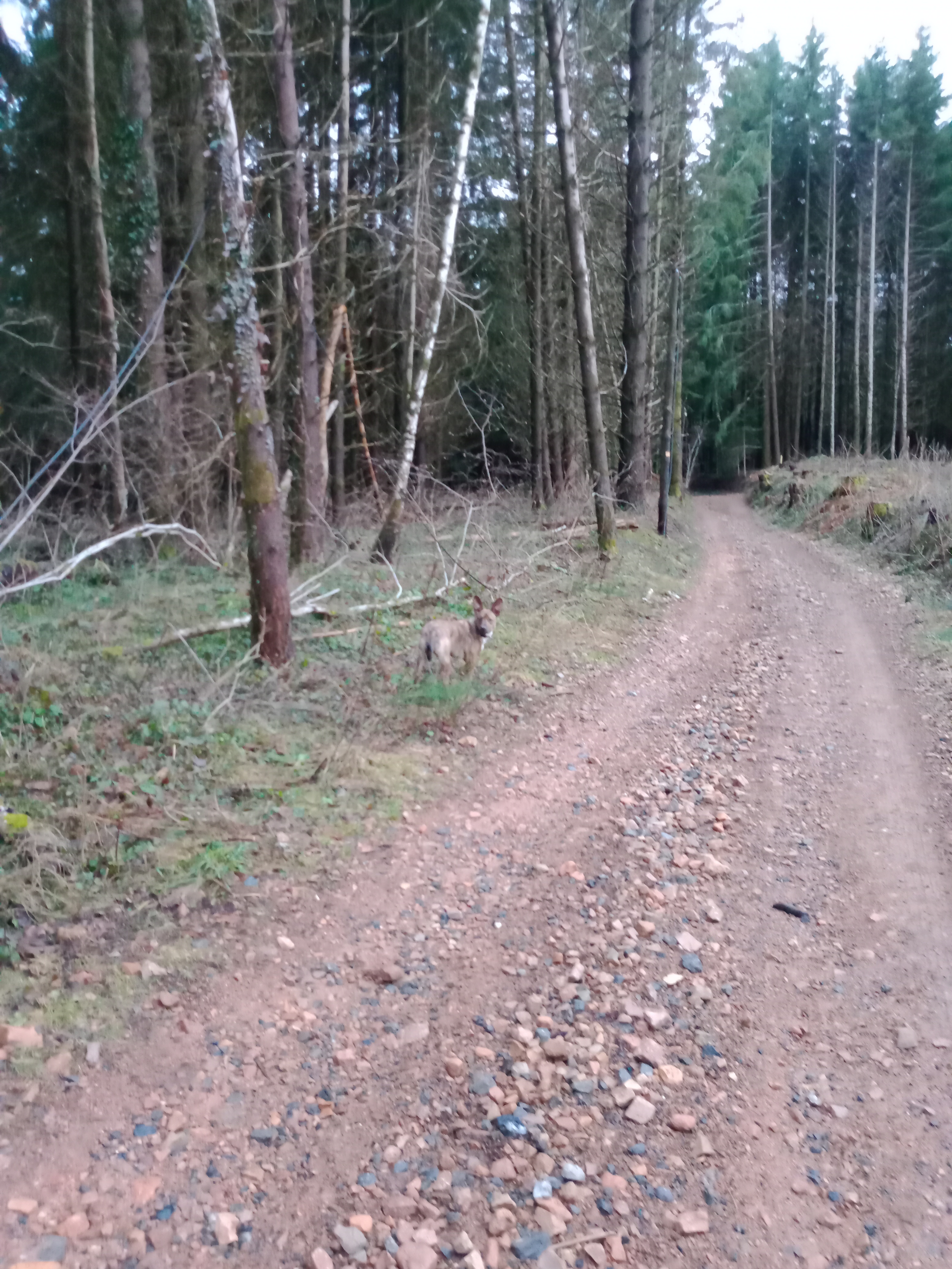 Photo n° 3 de l'avis de Roselyne.a fait le 03/03/2022 à 15:14