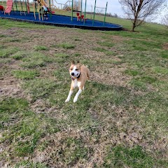 Gettysburg Community Park