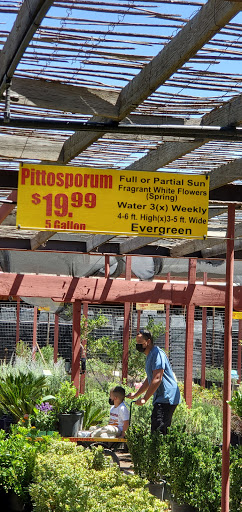 Private nurseries in Juarez City