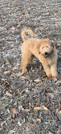 Pet Supply Store «Petco Animal Supplies», reviews and photos, 6631 Edwardsville Crossing Dr, Edwardsville, IL 62025, USA