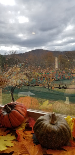 Winery «Sharp Mountain Vineyards», reviews and photos, 110 Rathgeb Trail, Jasper, GA 30143, USA