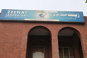 Zeenat Laboratory (Head Office), Lahore image