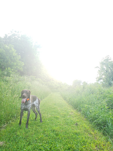 Nature Preserve «Shannondale Springs Wildlife Management Area», reviews and photos, Co Rte 9/5, Harpers Ferry, WV 25425, USA